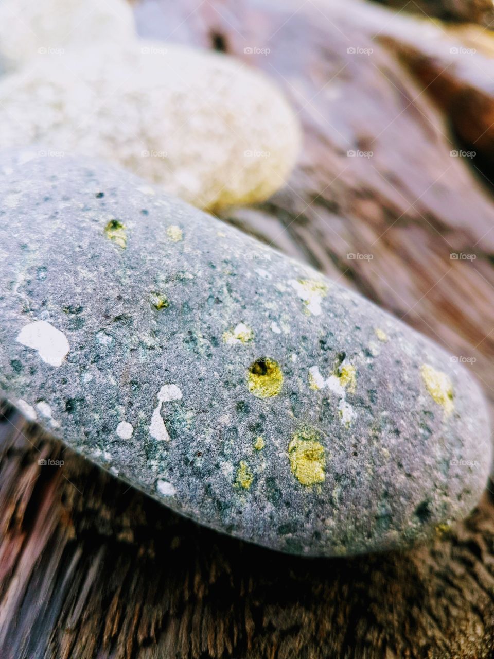 rocks on log