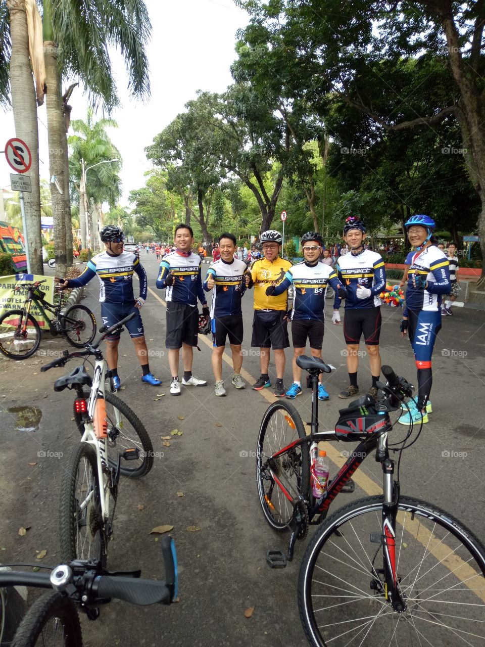 Gowes