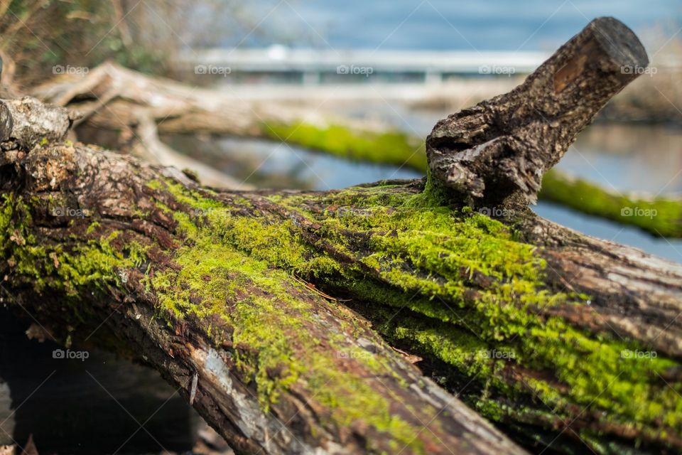 Nature is always beautiful 