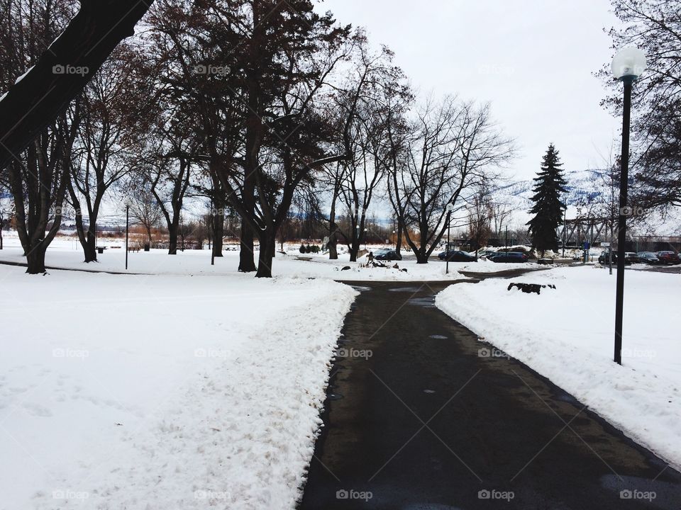 Winter walk in riverside park! 