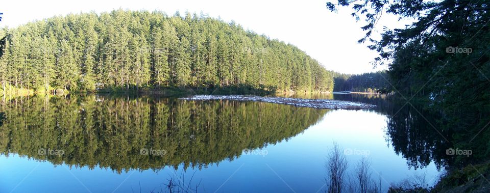 lake reflection
