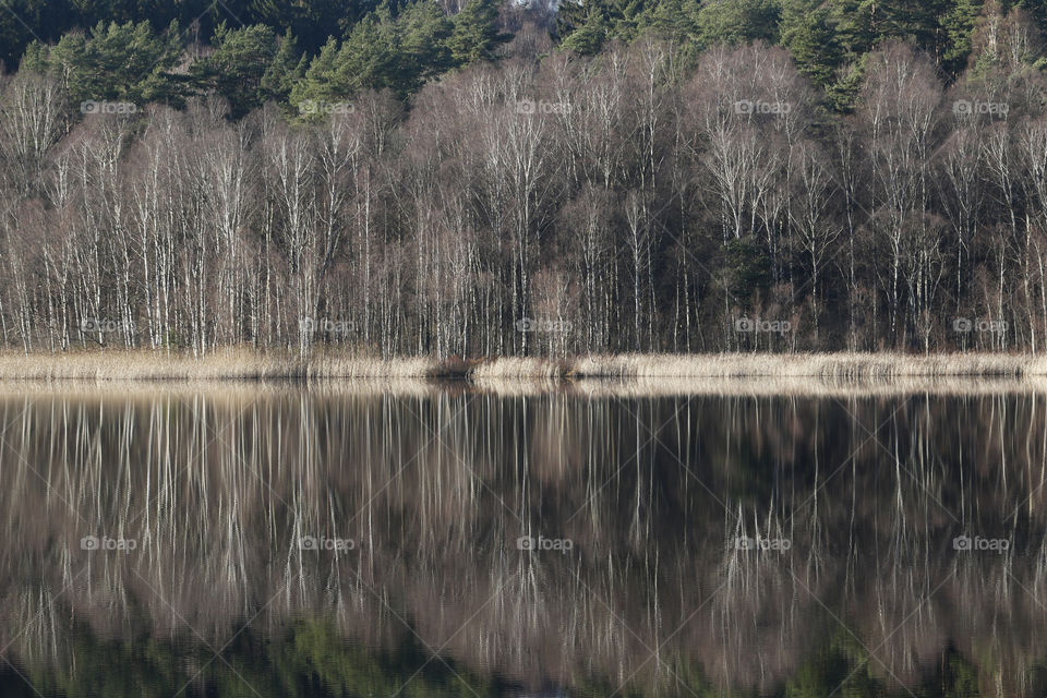 Autumn, forest reflection on mirror lake - höst skog reflection spegelblank sjö 