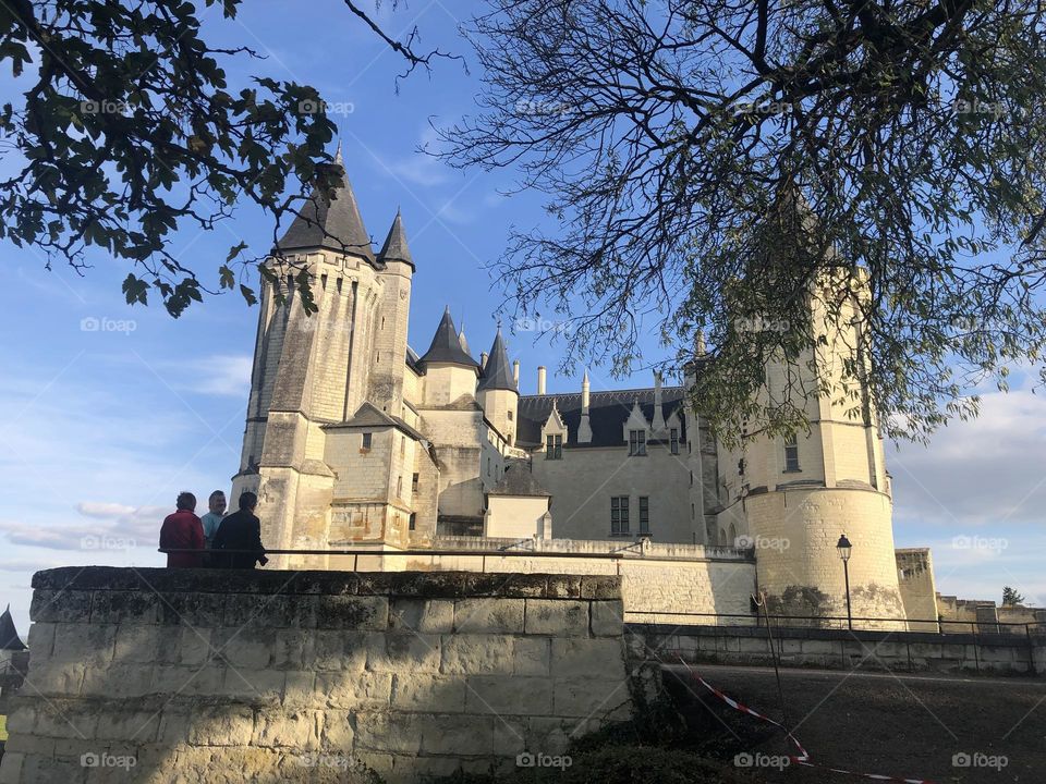 Old castle on Loire valley 