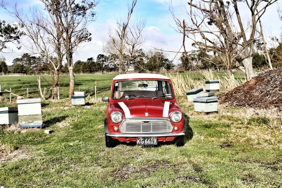 Austin Mini Beekeeping