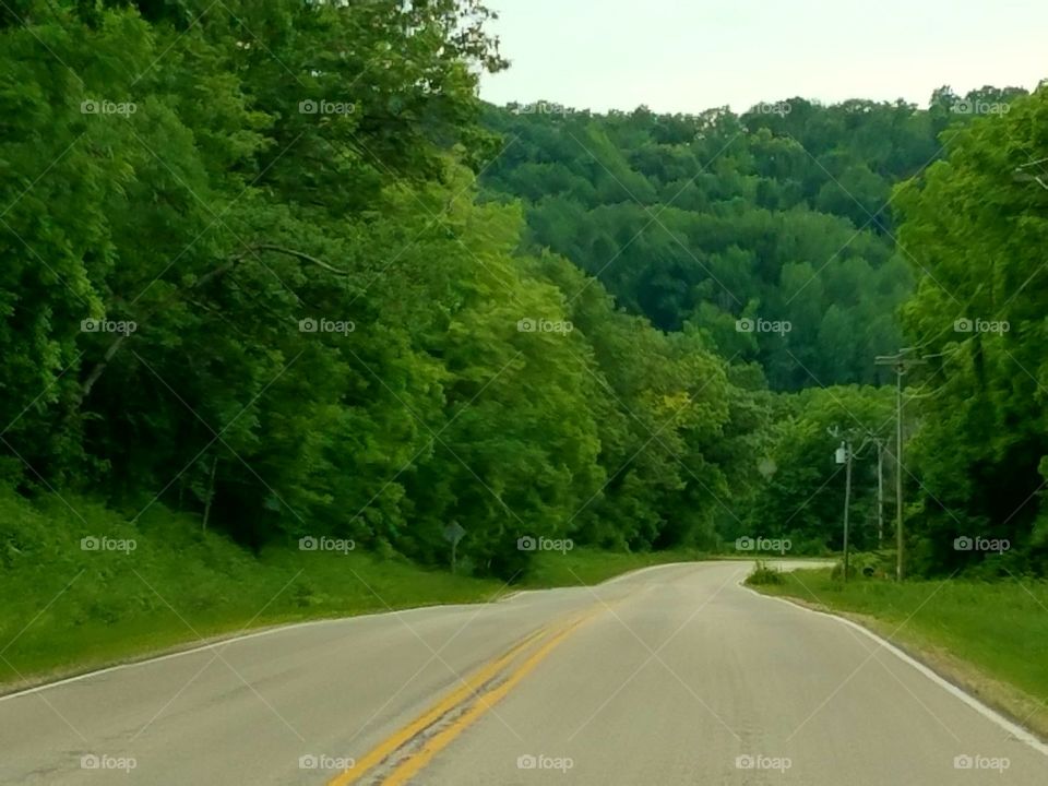 Driving the Back Roads and enjoying everything around us