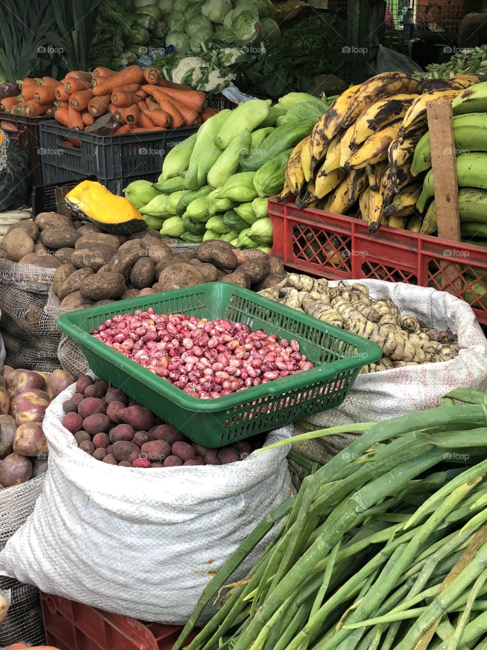 Fruit and vegetable street market bogota Colombia beans plantains potatoes leeks veggies for sale