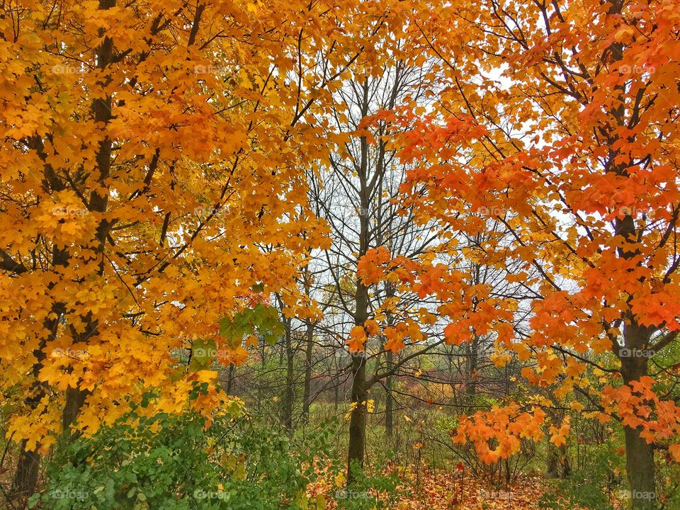Don't blink - take in as much as you can! 