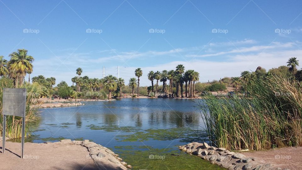 Papago Lagoon