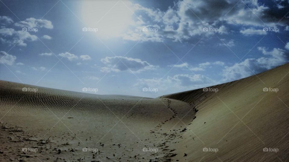 uma linda imagem de dunas em um dia ensolarado e de céu azul.