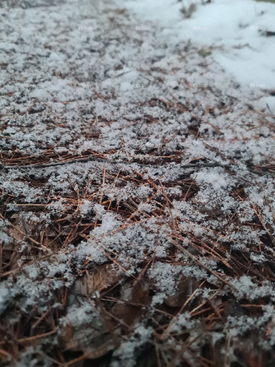 Winter against autumn