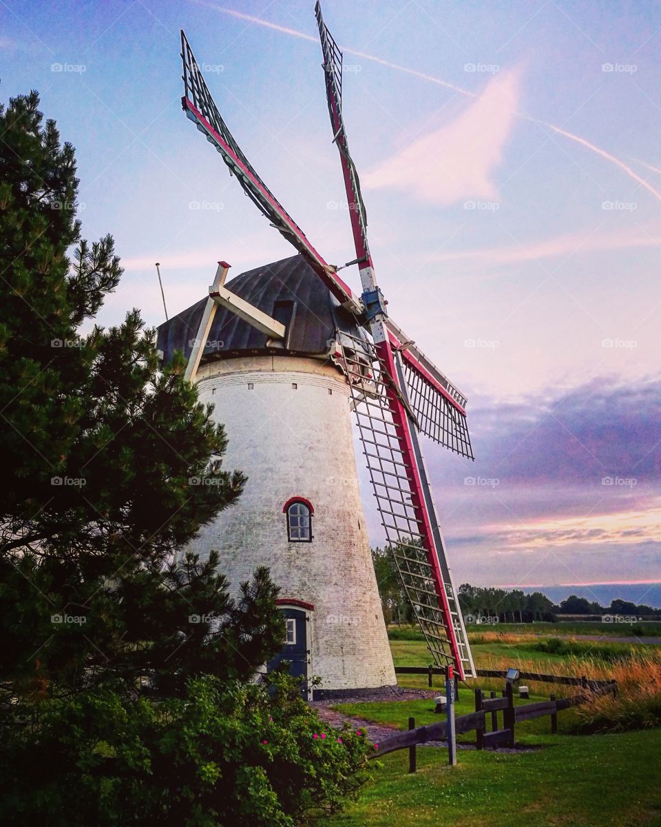 Dutch windmill