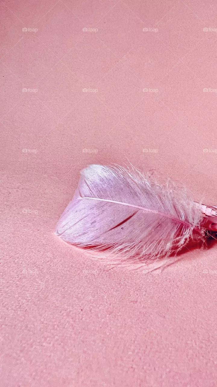 Baby pink 