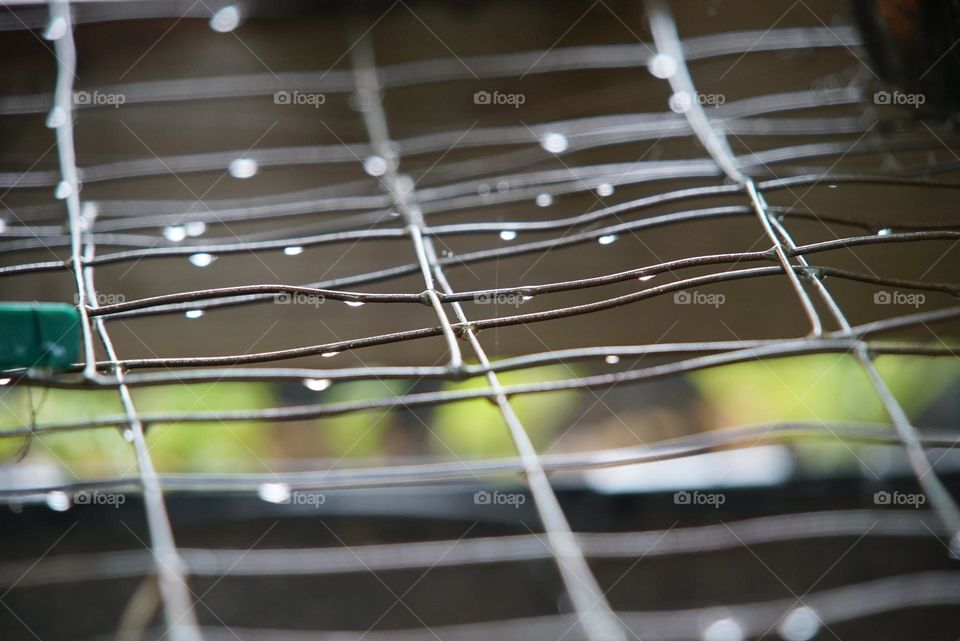 Dewdrops on wire in the garden in the morning