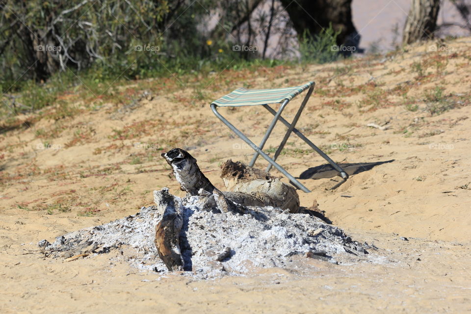 Campfire,  Australia