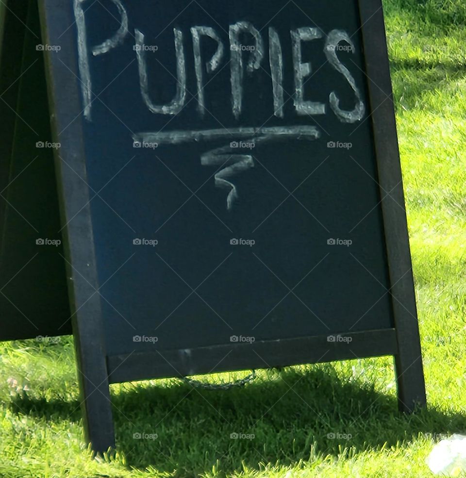 chalk blackboard sign on the grass with the word puppies