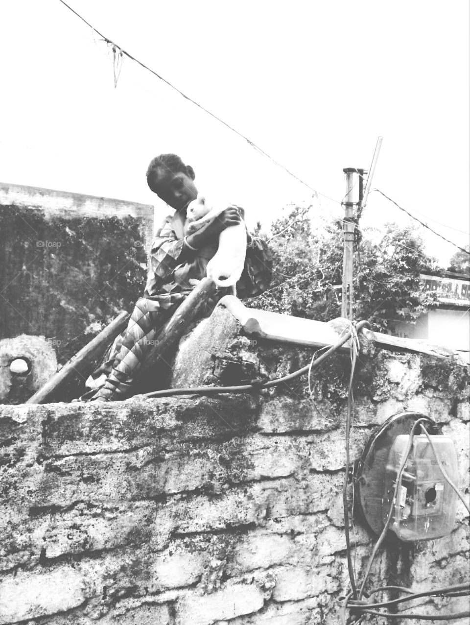 Photographs of a poor girl,a photo with a girl's cat,a photo of a white cat,a photo of a kitten,a great photo of a girl and a cat,a memorable photo of a human being and an animal child,a photo of an animal and human friendship,a photo Great friends