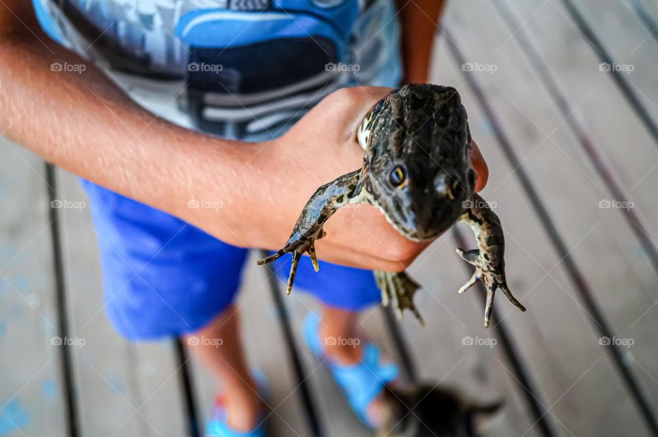 Boy playing with a frog at the boathouse