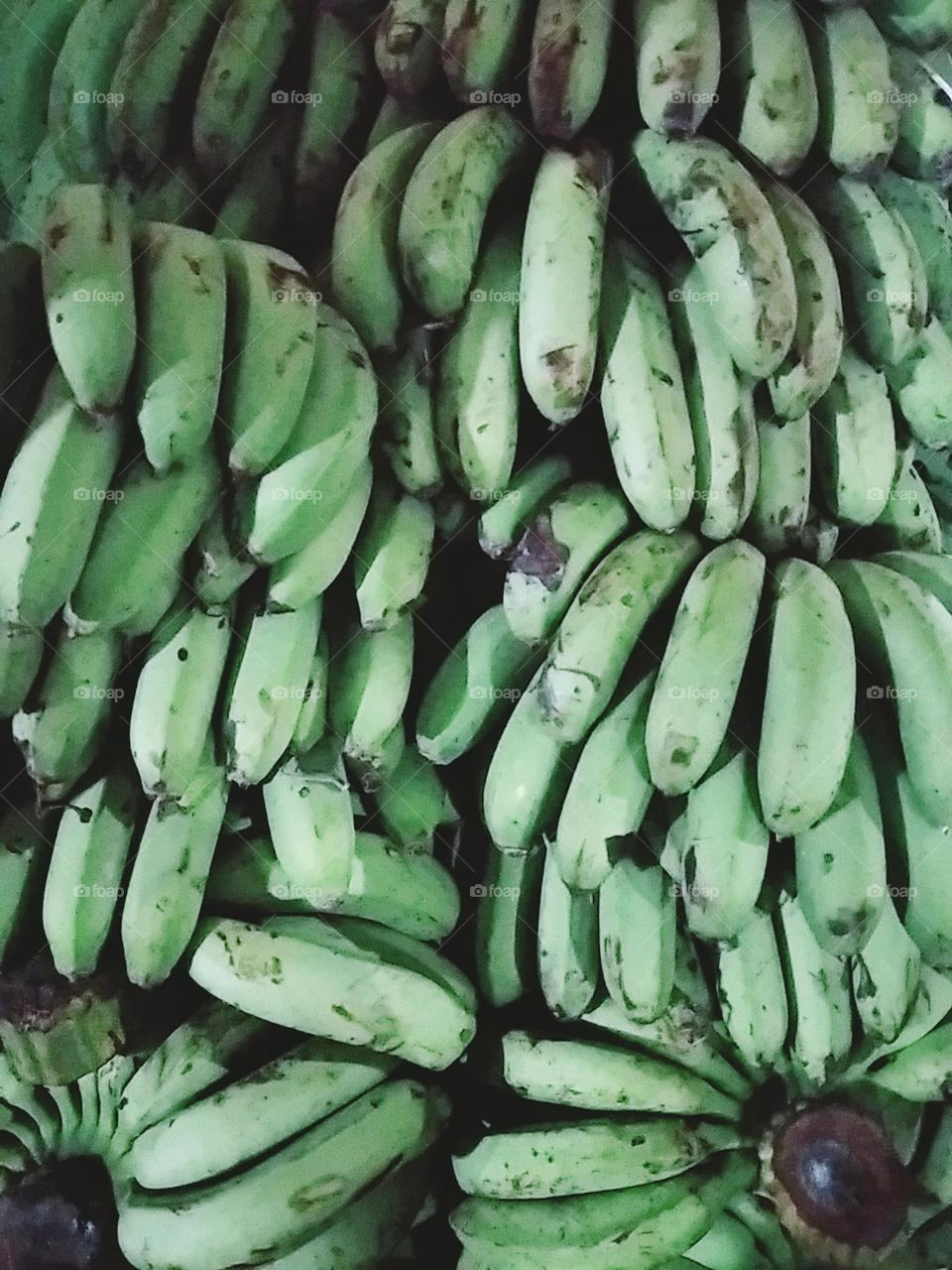 Green bananas