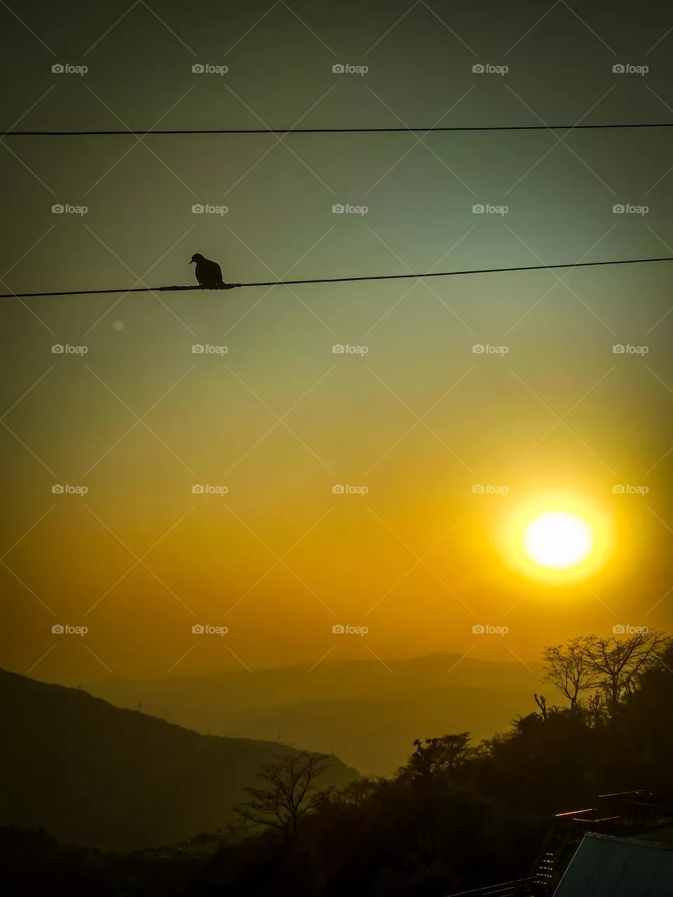 beautiful sunset ever