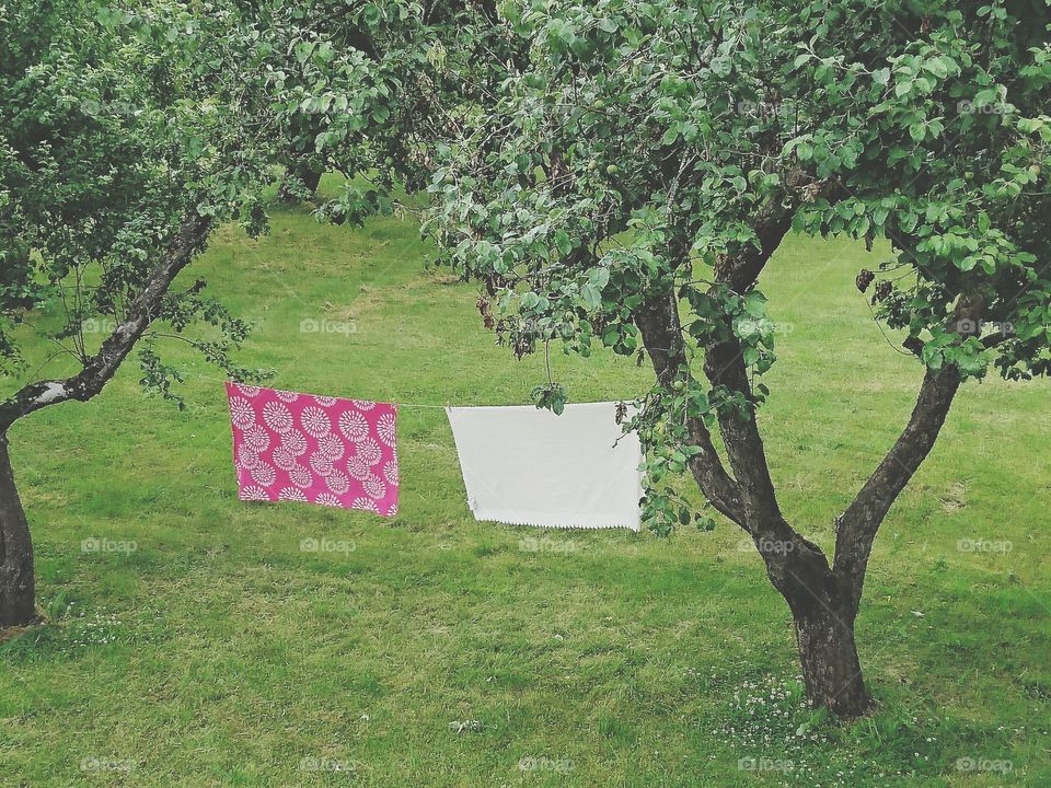 Hanging out to dry