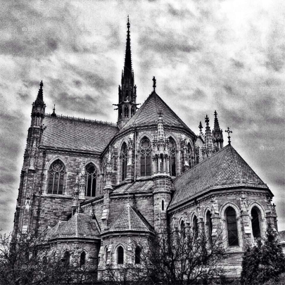 Basilica of the sacred heart . Newark, NJ