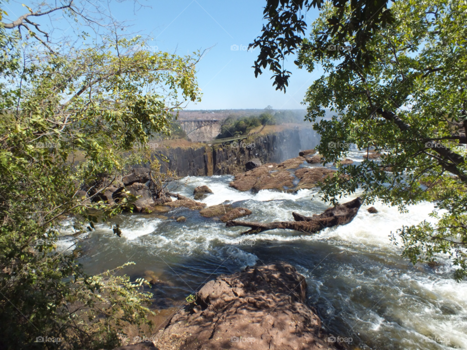 victoria falls zambia trees water waterfall by Ellie.dixon5