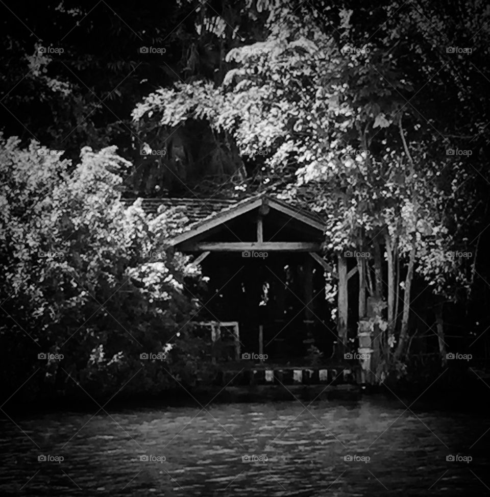 Abandoned. An abandoned dock located at the old Disney attraction:  Discovery Island
