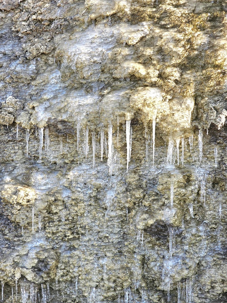 icicles in Trouville-sur-Mer