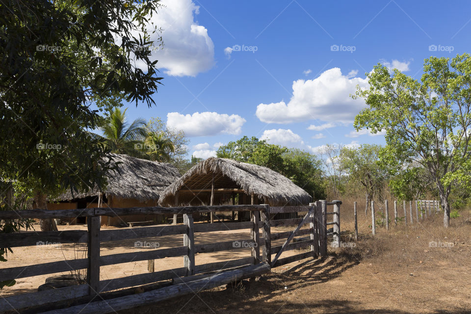 Simplicity in Chapada das Mesas Maranhao Brazil.