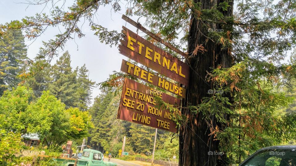 Sign for the Eternal Tree House. Along the Avenue of the Giants in CA.