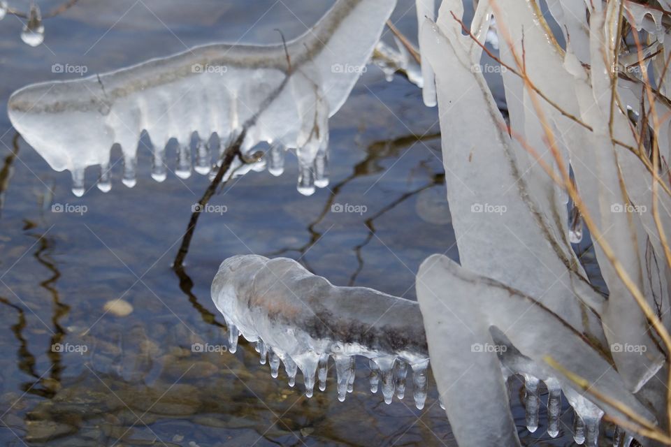 Icicles Hanging From Tree Branches