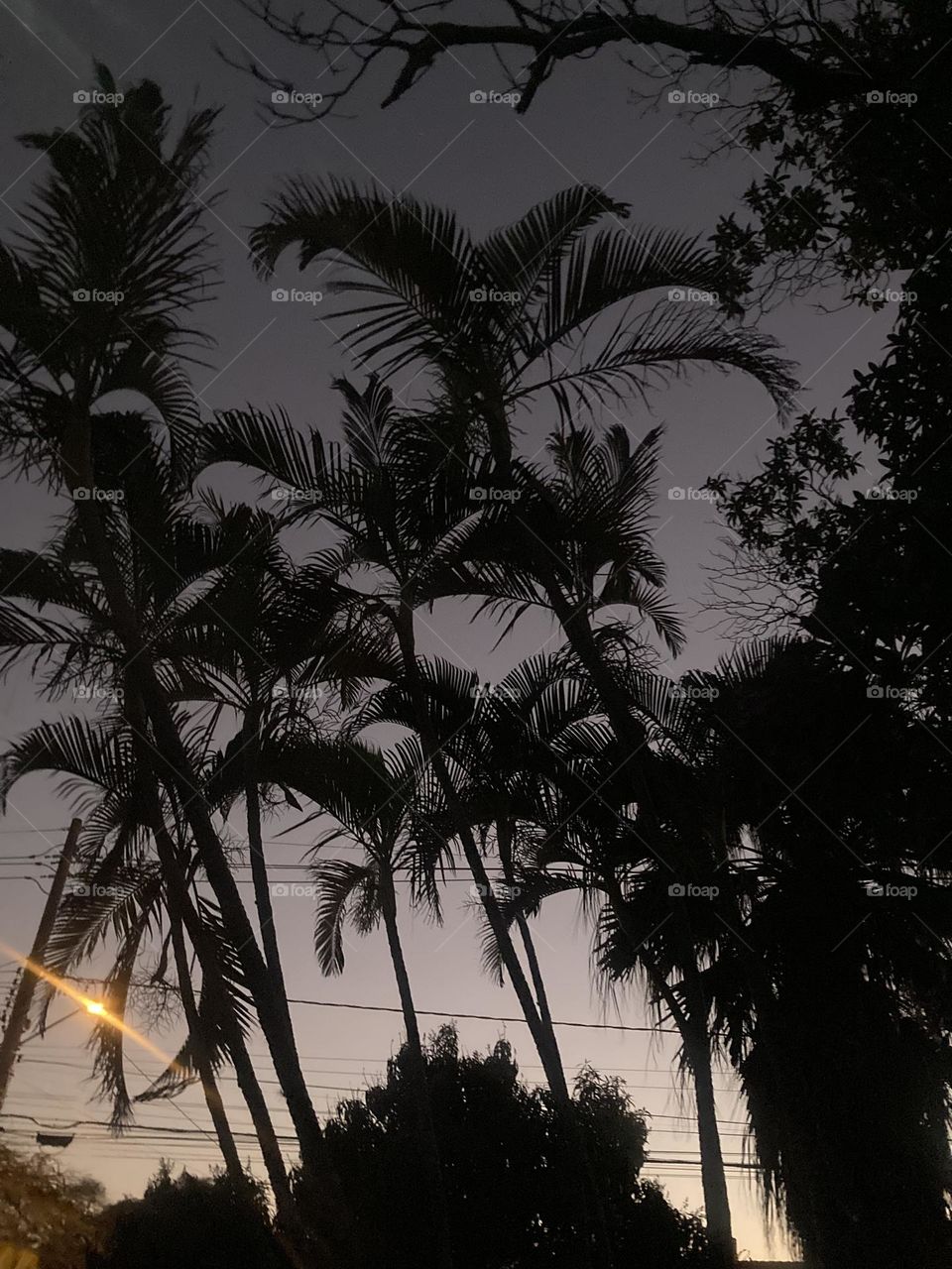 🌄🇺🇸 An extremely beautiful dawn in Jundiaí, interior of Brazil. Cheer the nature! / 🇧🇷 Um amanhecer extremamente bonito em Jundiaí, interior do Brasil. Viva a natureza! 
