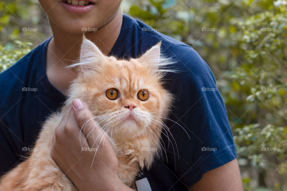 Curious cat with her friend.