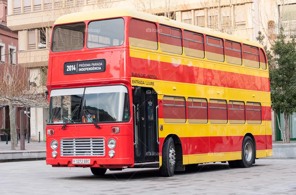 Bus 