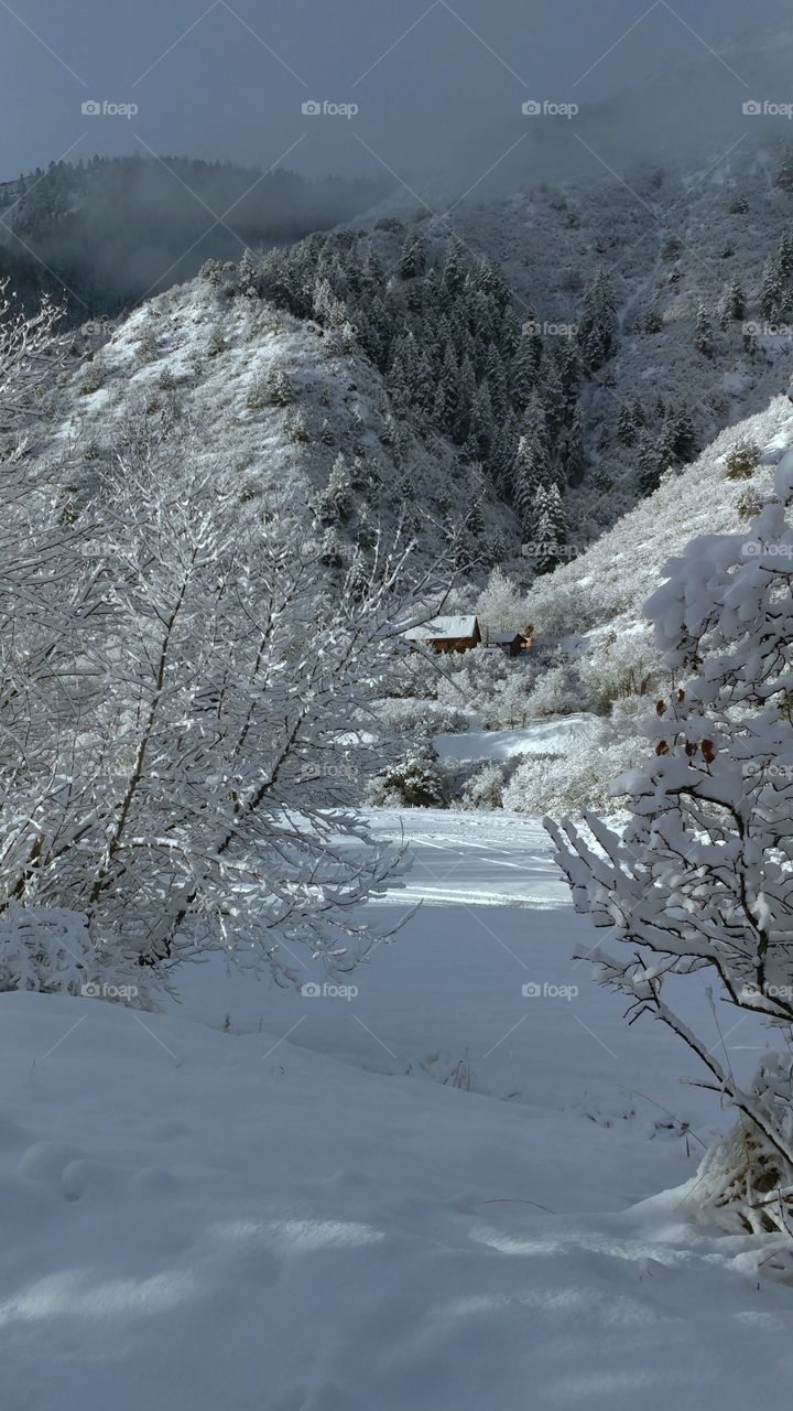 Snow covered winter morning in the mountains.