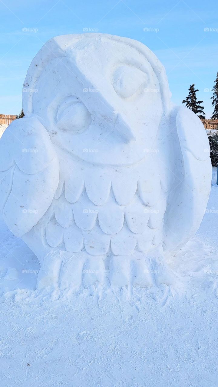 snow sculptured owl