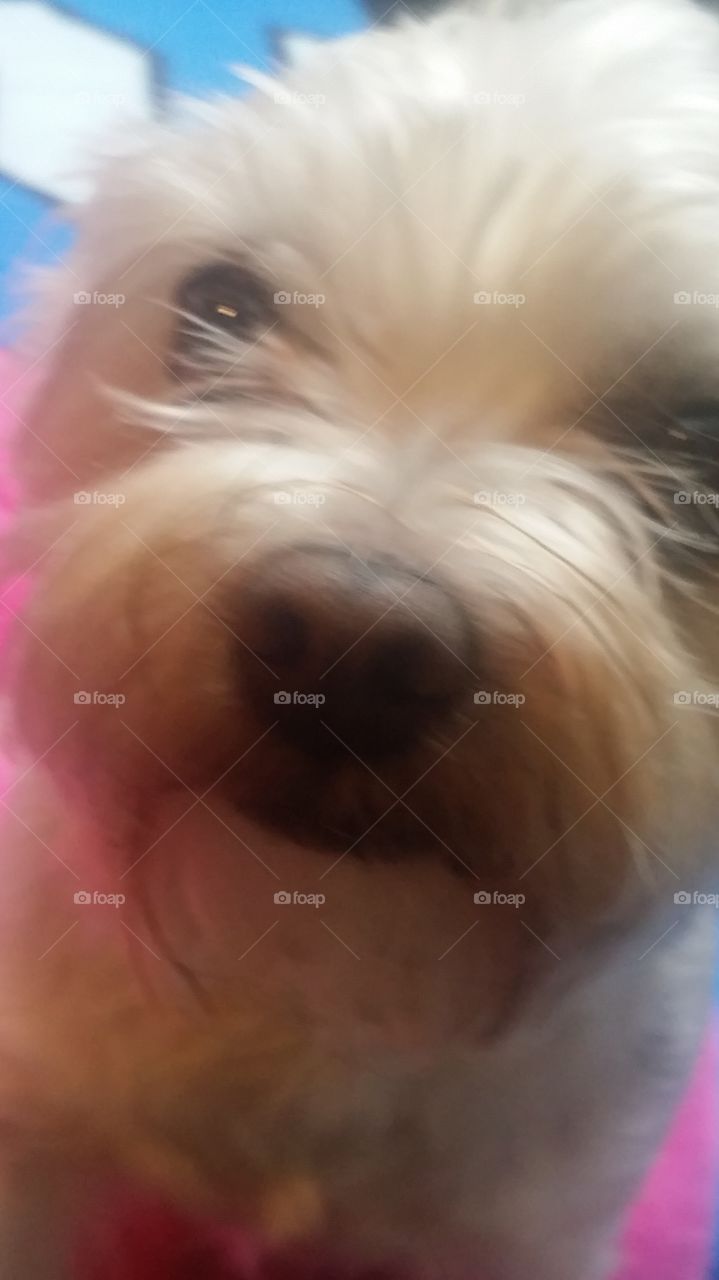 up close and personal. with Jazper