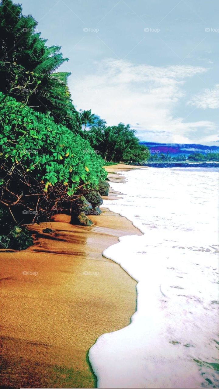 summer walk on the beach