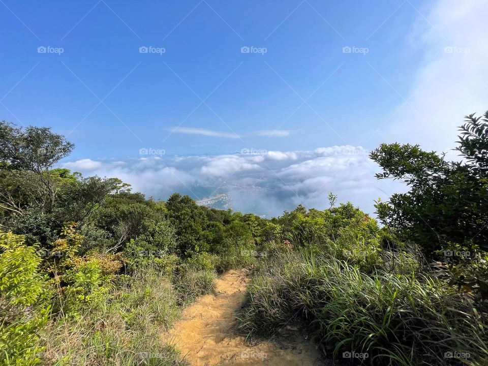 surrounded by clouds