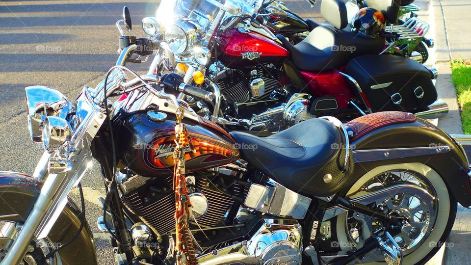 Group of Harley Davidson bikes parked by a curve