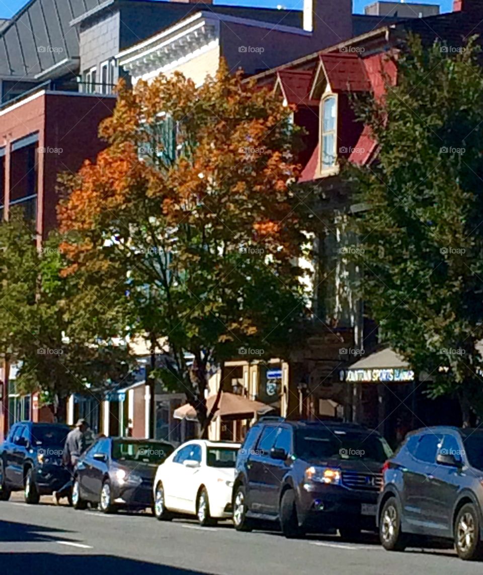 Downtown Autumn Fredericksburg