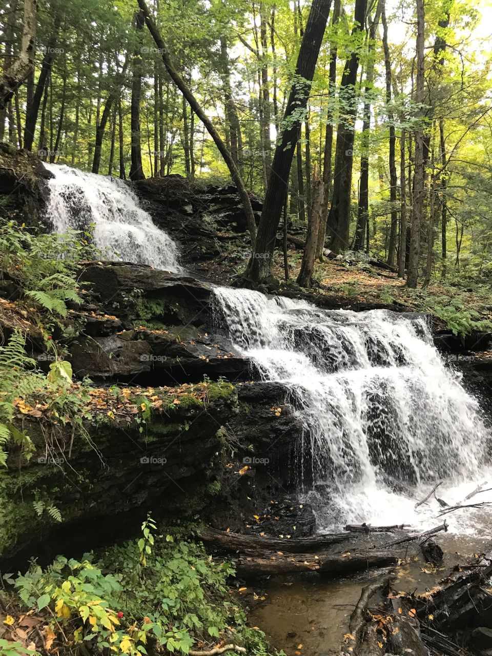 Cascading Falls