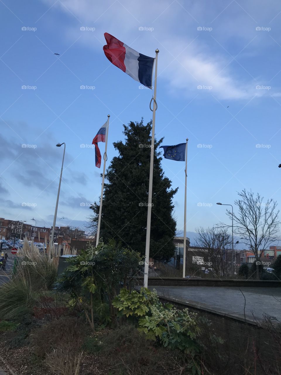 Flags displayed in the centre if Exeter, UK