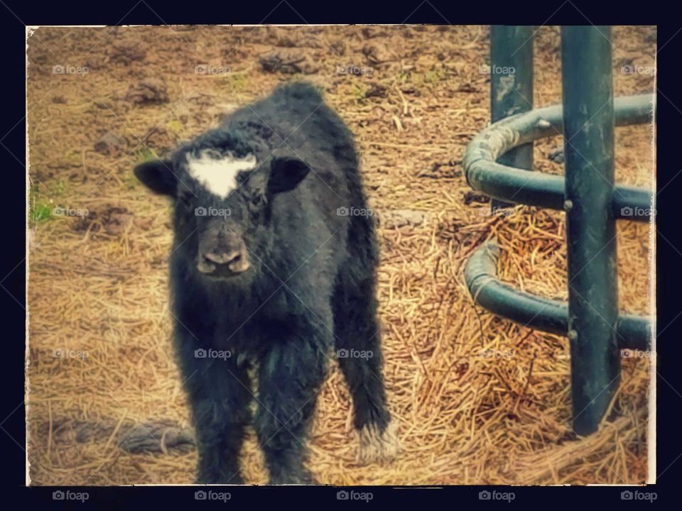 Driving the Back Roads and enjoying everything around us