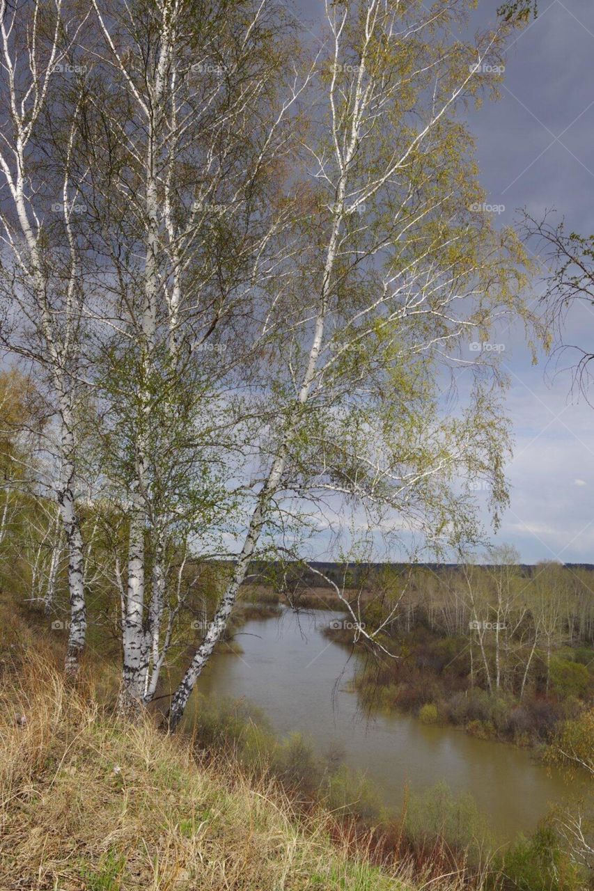 Красоты Кузбасса