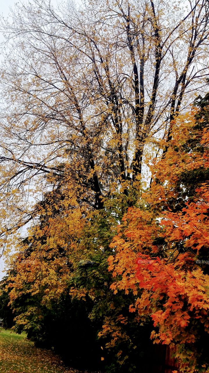 fall season beautiful colors