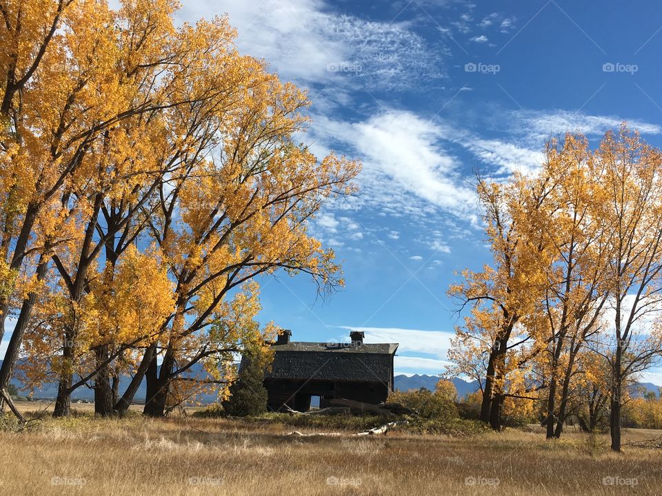 Fall at the old barn in Somers, MT.