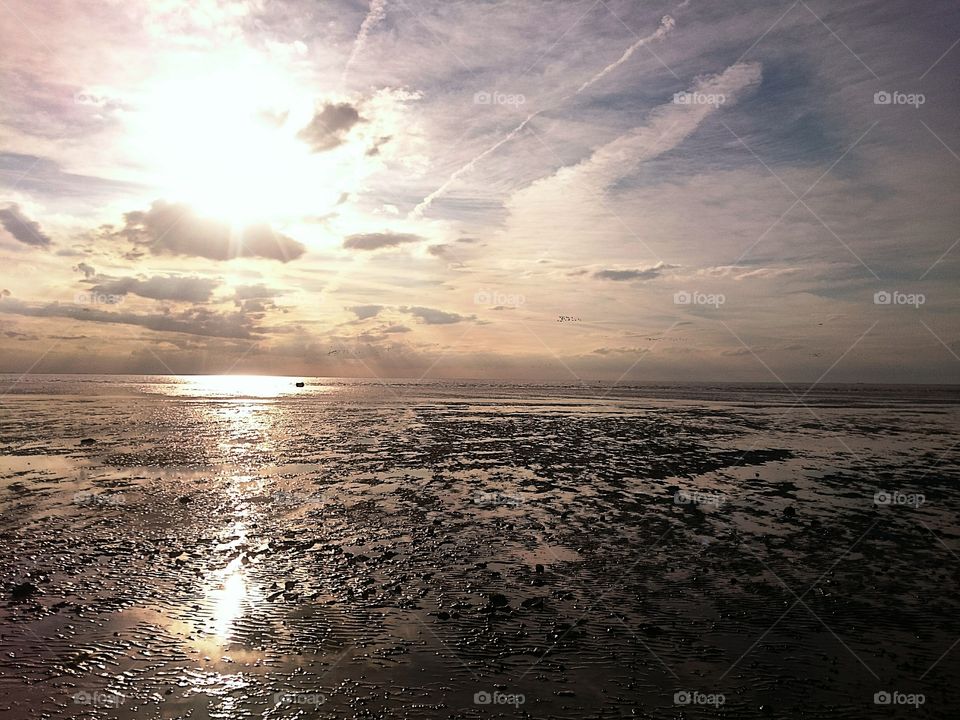 peaceful mudflats