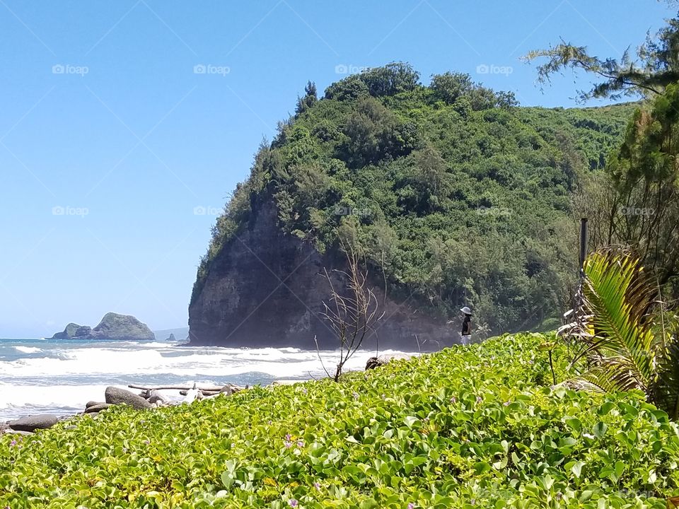 Black Sand beach, Big island