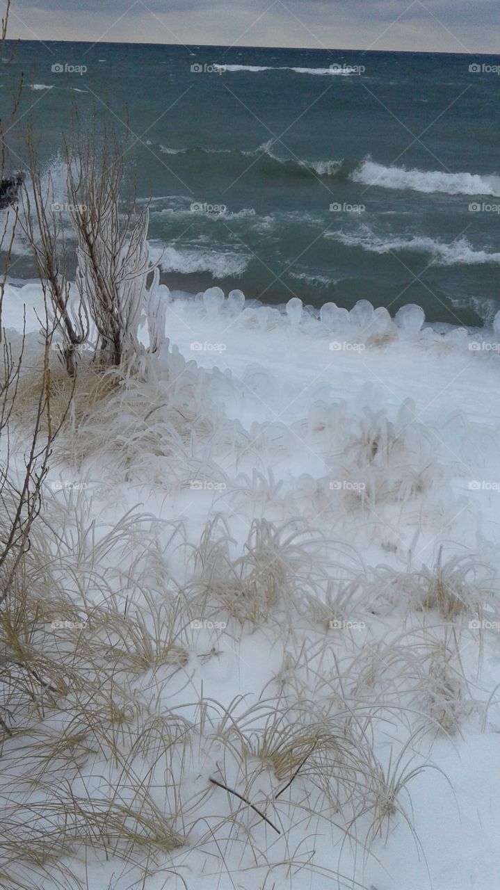 Northern Michigan 